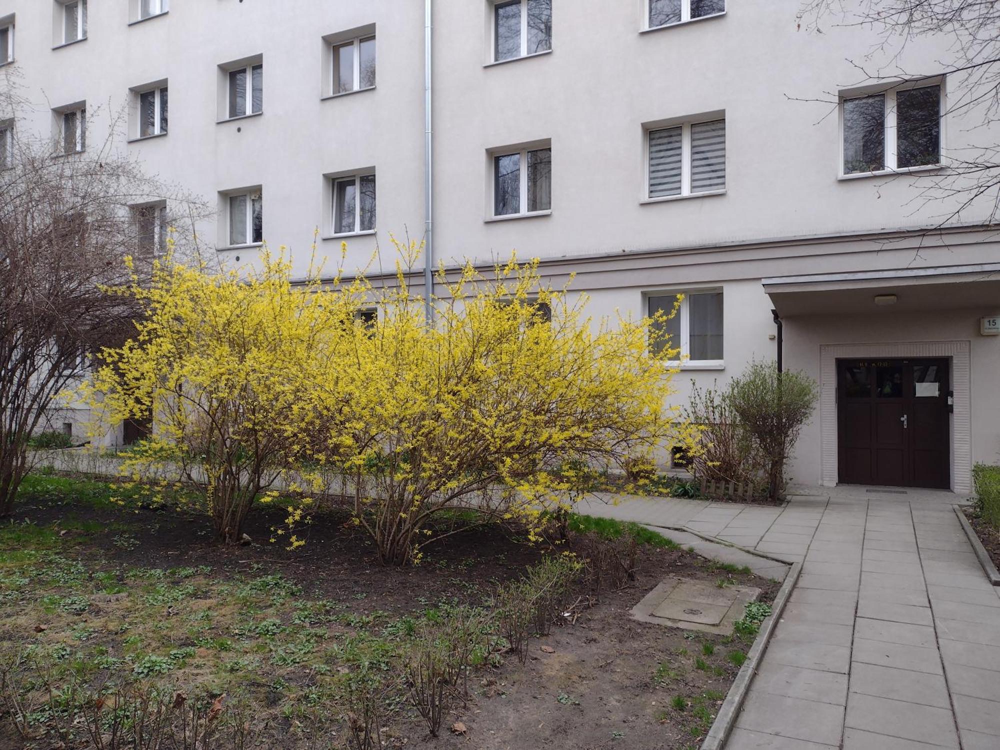 Cracowapart Ignacio A Krakow Dış mekan fotoğraf